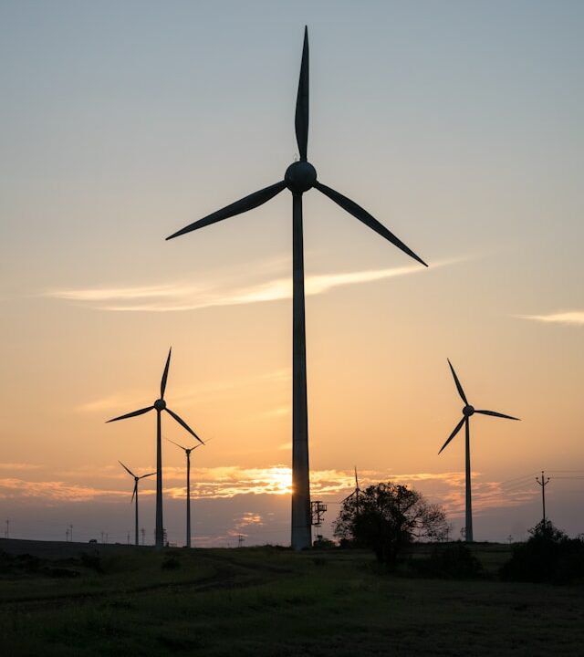 Windräder mit Sonnenuntergang im Hintergrund